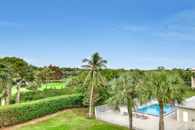 view of swimming pool with a yard and a patio area