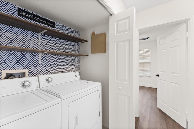 washroom featuring washer and clothes dryer and dark wood-type flooring