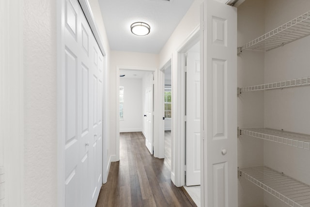 hallway featuring dark wood-type flooring