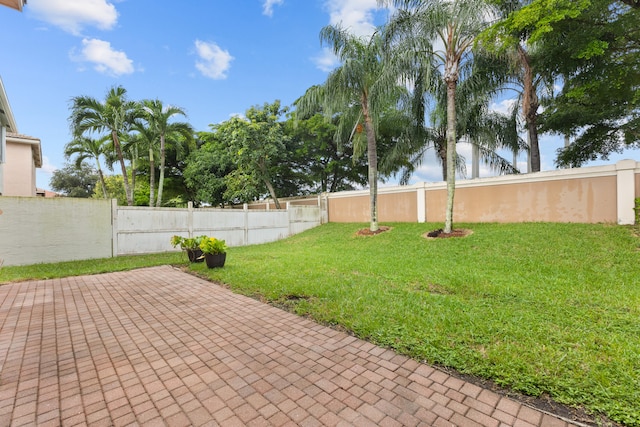 view of yard featuring a patio