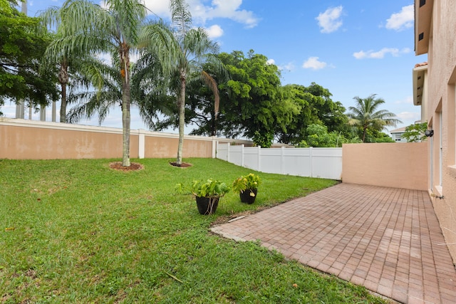 view of yard with a patio