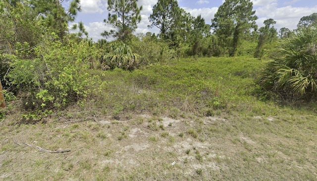 Listing photo 3 for 707 Bahama Ave S, Lehigh Acres FL 33974