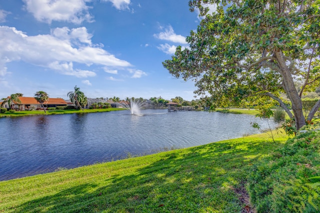 view of water feature