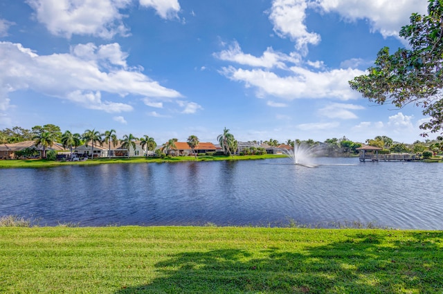 property view of water