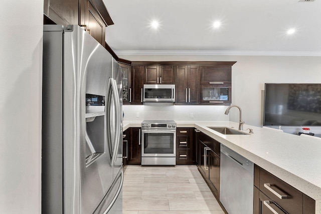 kitchen with crown molding, sink, dark brown cabinets, and stainless steel appliances