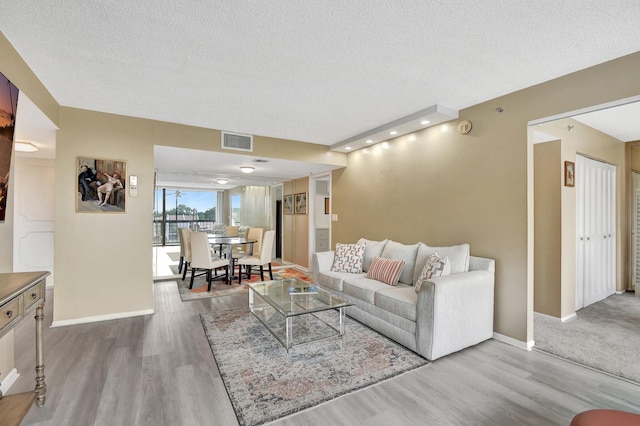 living room with a textured ceiling and light hardwood / wood-style flooring