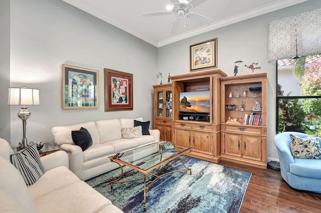 living room with ceiling fan, dark hardwood / wood-style floors, and ornamental molding