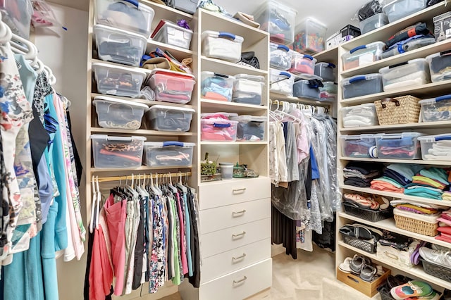 walk in closet with light carpet