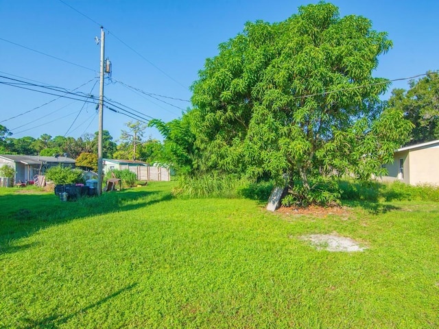 view of yard