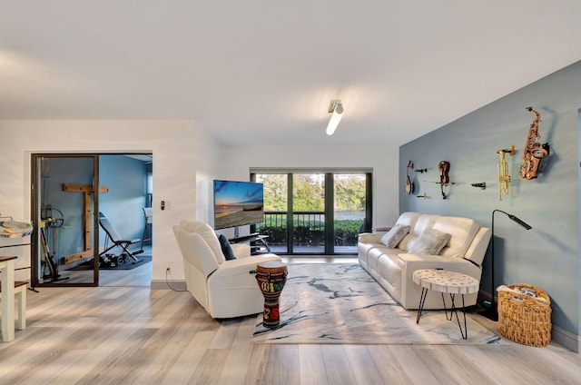 living room with light wood-type flooring