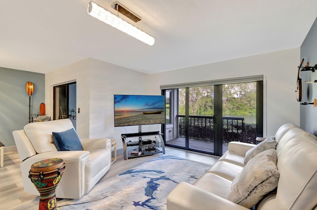 living room featuring light hardwood / wood-style floors