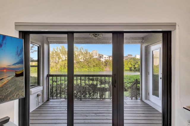 doorway featuring hardwood / wood-style floors and a wealth of natural light