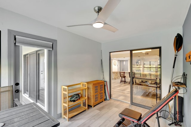 exercise room featuring ceiling fan and light wood-type flooring