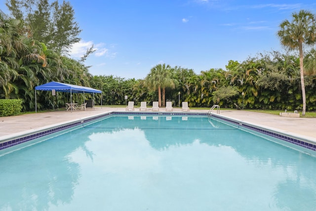 view of pool featuring a patio area