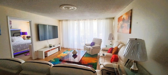 living room featuring hardwood / wood-style floors and a textured ceiling