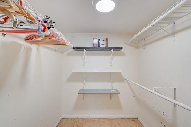 spacious closet featuring carpet