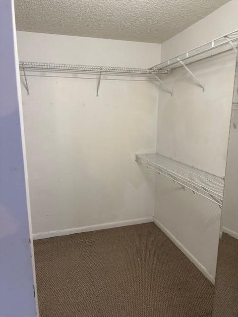 walk in closet with dark colored carpet