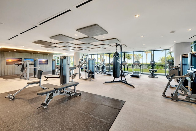 gym with a healthy amount of sunlight and a wall of windows