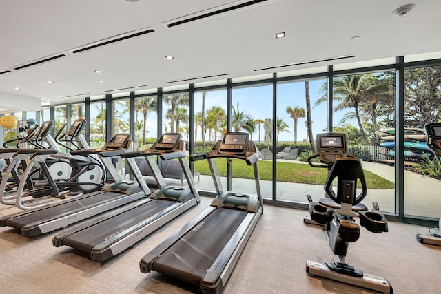 exercise room featuring plenty of natural light, expansive windows, and light colored carpet