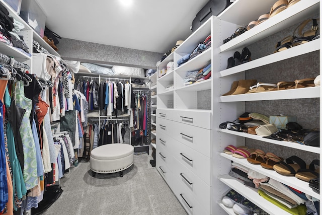 spacious closet with carpet floors