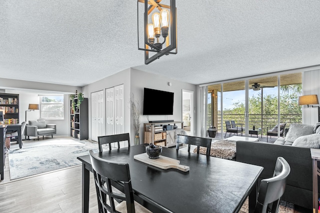 dining space featuring a textured ceiling and hardwood / wood-style flooring