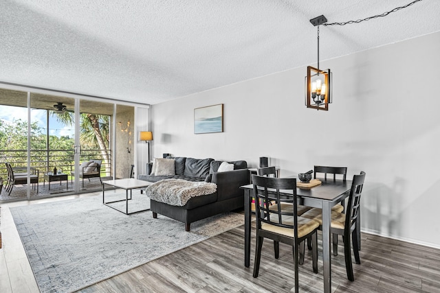 dining space with floor to ceiling windows, hardwood / wood-style floors, and a textured ceiling