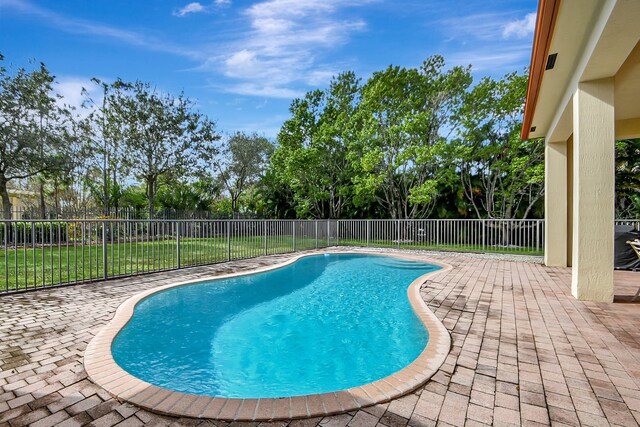 view of pool featuring a patio area