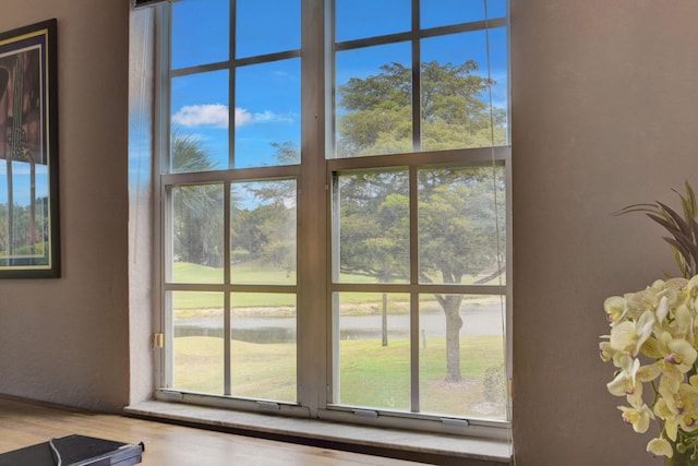 room details featuring hardwood / wood-style flooring