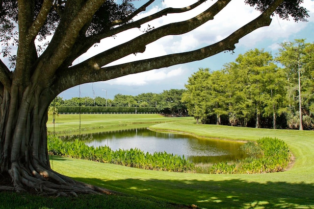 view of property's community with a lawn and a water view