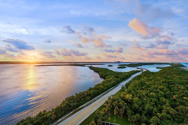 property view of water