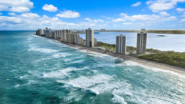 bird's eye view with a view of the beach and a water view