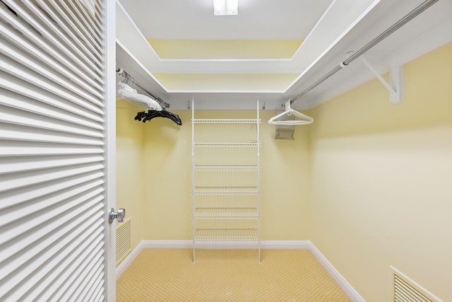 spacious closet with carpet flooring