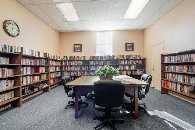 office space featuring a drop ceiling and carpet