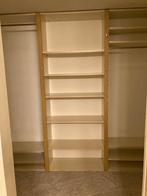 view of closet