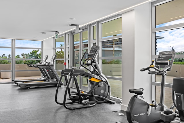 gym featuring a healthy amount of sunlight and floor to ceiling windows