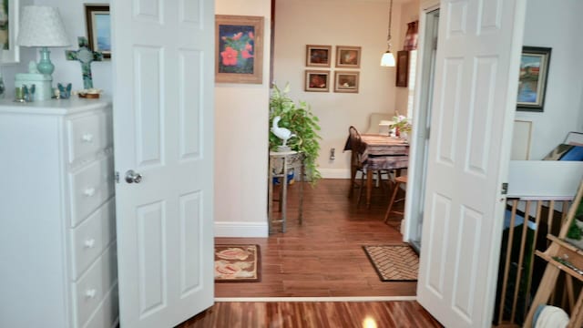 hallway with dark hardwood / wood-style flooring