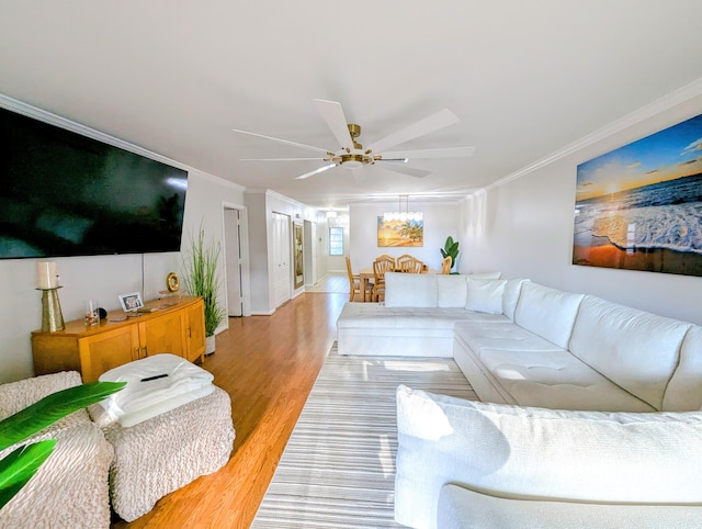 living room featuring ceiling fan, light hardwood / wood-style floors, and ornamental molding