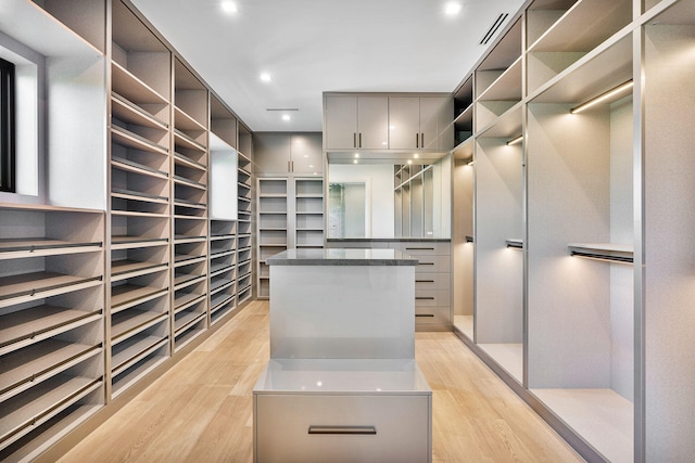 spacious closet with light hardwood / wood-style flooring