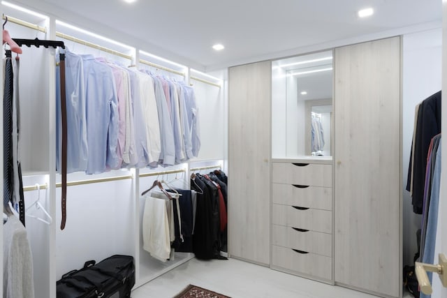 view of walk in closet