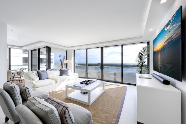 living room with a healthy amount of sunlight and a wall of windows