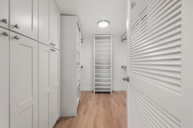 spacious closet featuring light wood-type flooring