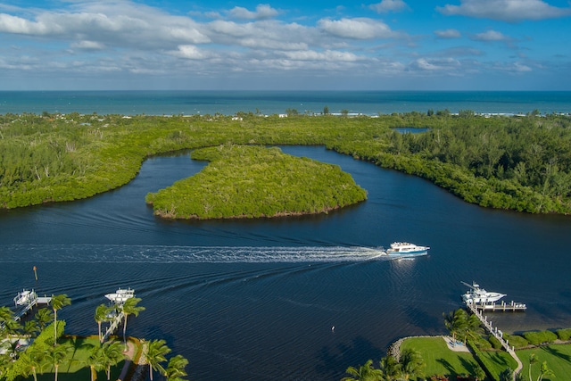 aerial view with a water view