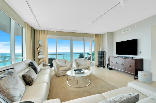 living room featuring track lighting and plenty of natural light