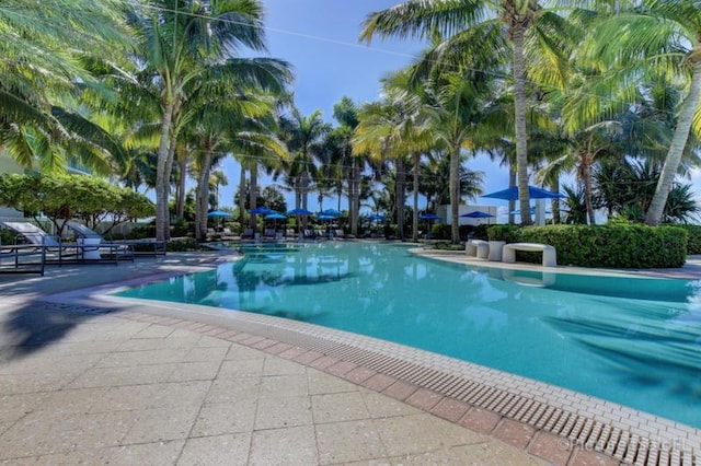 view of swimming pool featuring a patio