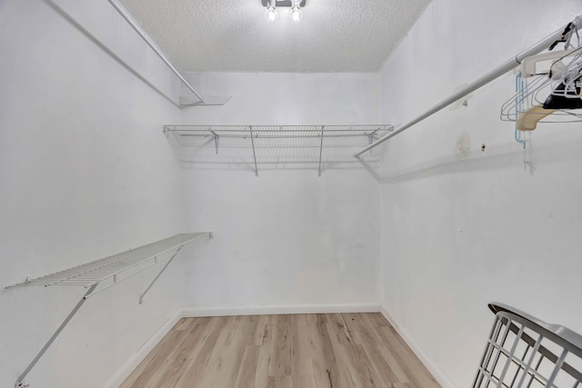 15230 SW 58th St, Miami, FL 33193 - walk in closet with light wood-type flooring