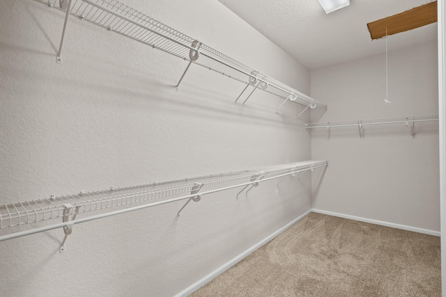 walk in closet with carpet flooring