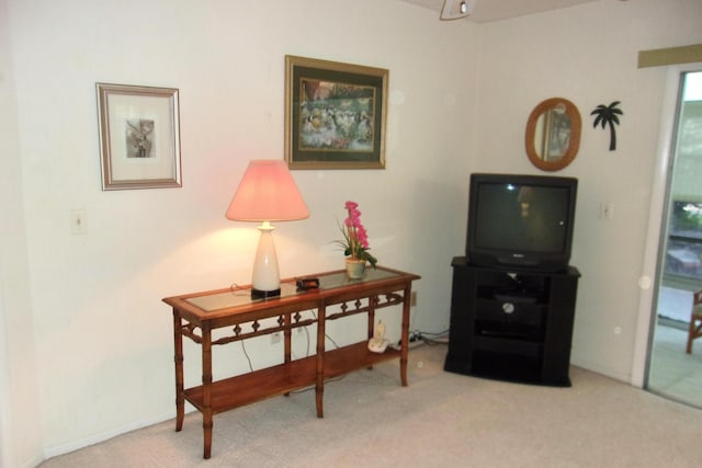 living area featuring light colored carpet