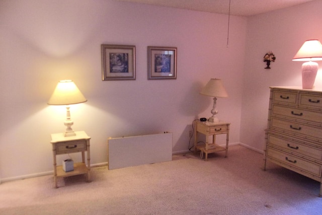 sitting room with light colored carpet