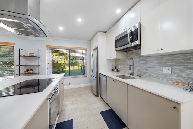 kitchen with sink, stainless steel appliances, ventilation hood, crown molding, and white cabinets