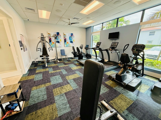 gym with carpet flooring, a drop ceiling, and ceiling fan